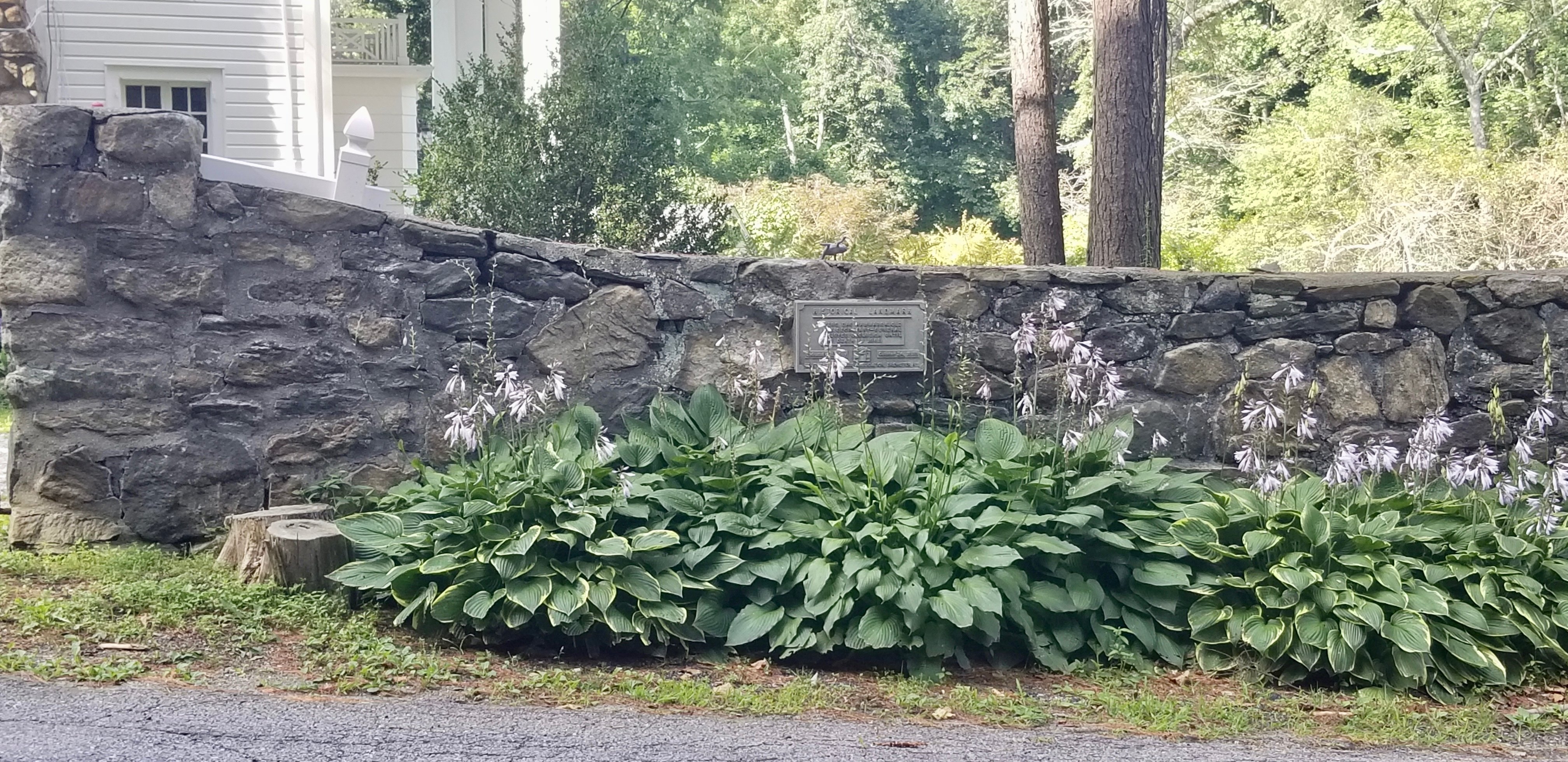 View of the plaque in its setting: mounted at eye level on a rough fieldstone wall fronting Foggintown Road, with a clump of hosta in full purple flower in front of it. Behind the wall, the white clapboard of the Hammarskj&ouml;ld house is visible through tall pines.