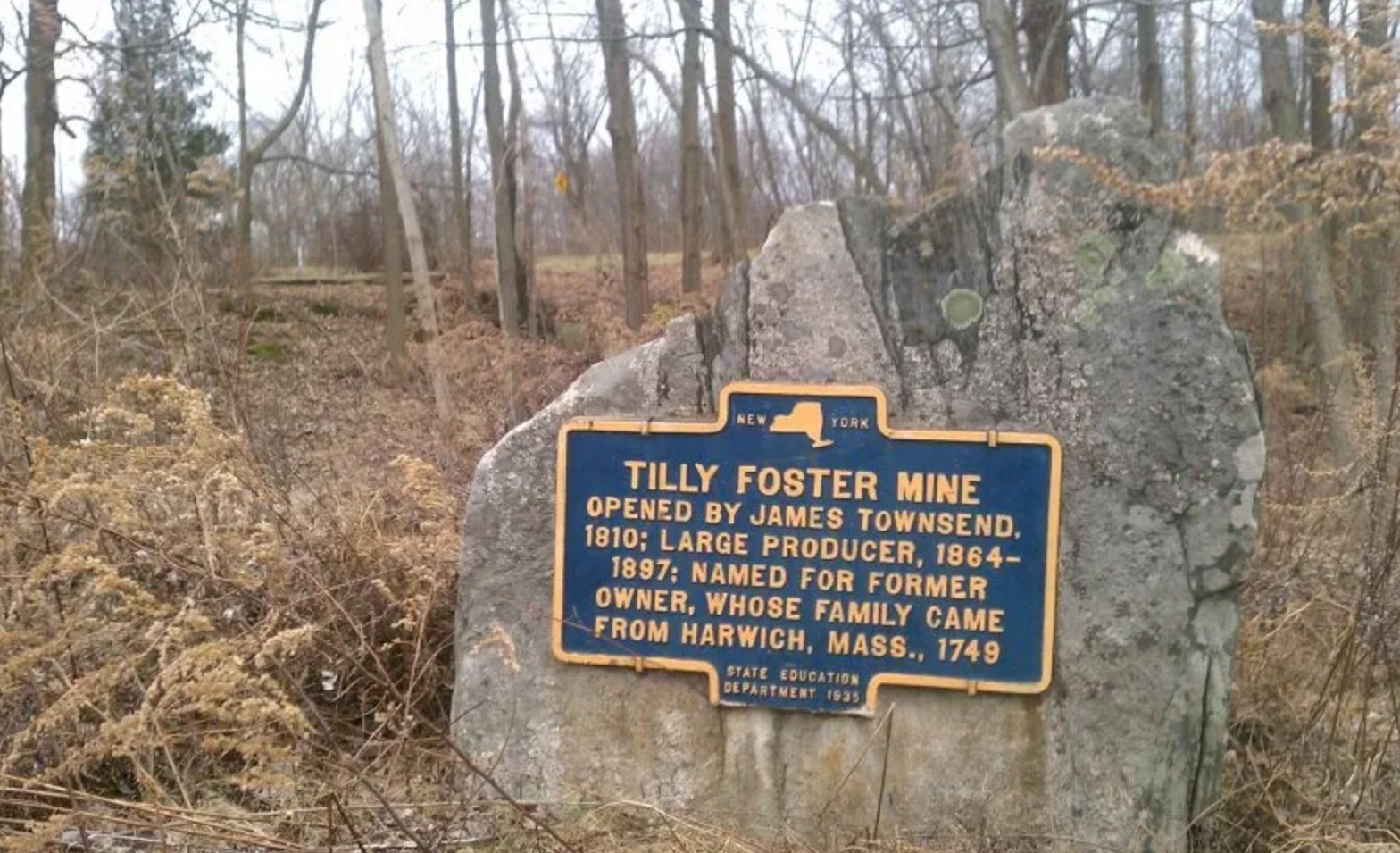 Blue and yellow New York State historic marker mounted on a large rock outcrop, reading TILLY FOSTER MINE, OPENED BY JAMES TOWNSEND, 1810; LARGE PRODUCER, 1864–1897; NAMED FOR FORMER OWNER, WHOSE FAMILY CAME FROM HARWICH, MASS., 1749. STATE EDUCATION DEPARTMENT 1935.