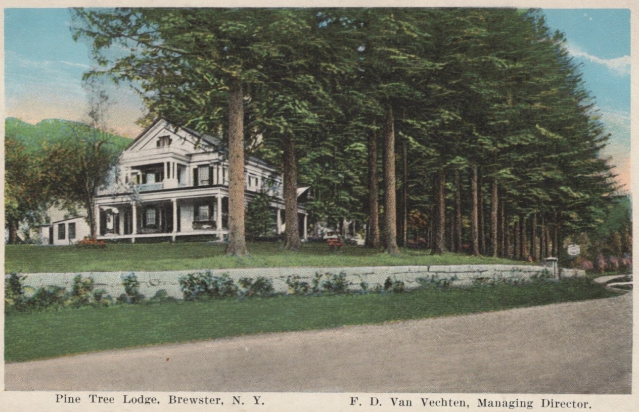 Hand-coloured picture postcard: a large white house with a two-story columned veranda and pedimented gable stands behind a low stone retaining wall and lawn, largely screened by a dense grove of tall pines running along the road. Printed caption reads &lsquo;Pine Tree Lodge, Brewster, N. Y. &mdash; F. D. Van Vechten, Managing Director.&rsquo;